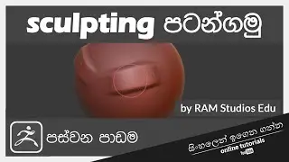 Zbrush Beginner Course (Sinhala) - Part 5 - Start Sculpting