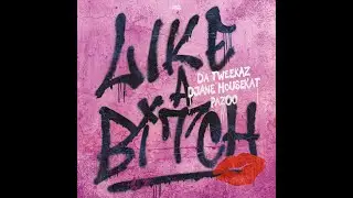 Da Tweekaz & DJane HouseKat & Pazoo - Like A Bitch (Extended Mix)