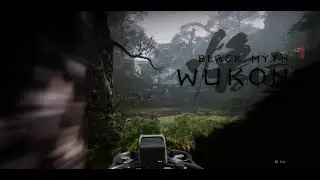 Black Myth Wukong Perfect FPV Drone Shot