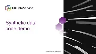 Synthetic data code demo
