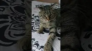 Чай кофе надоели...