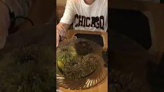 Морские ежи. Разделываем едим