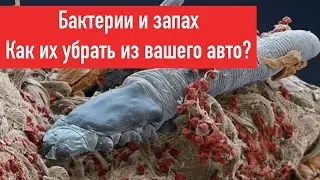 Супротек очиститель кондиционера и климат контроля. Убрать запах в салоне курения и гнили.