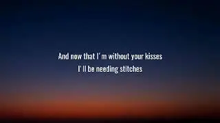Shawn Mendes  - Stitches Lyrics