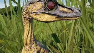 Survival Chronicles: The Troodon's Triumph in 