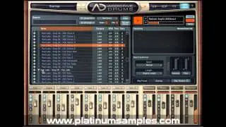 Platinum Samples: Real Latin Multi-Format MIDI Groove Library