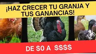 Los Animales de Granja que Generan Más Dinero: ¡Empieza Hoy!