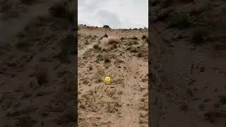 Polaris закинула на подъем в гору