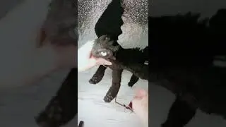 Каркасная игрушка Беззубик