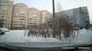 Что нужно воронам от кошки? (231207 )