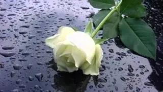 Tu o nada
