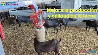 Cepillo Anti estrés