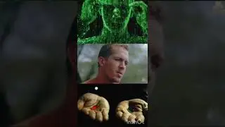 The Pineal Gland