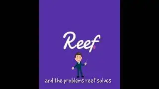Reef Defi and the problems that it solves