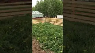 2. Самый дешёвый способ содержания вьетнамских свиней.