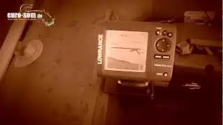 Реакция сома на звук квока.
