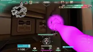 240 hz peek