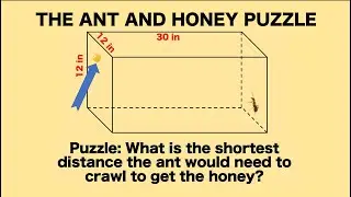 How to solve maths puzzles with answers: The Ant and Honey Puzzle