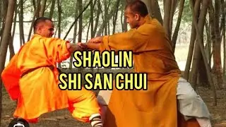 Shaolin Shi San Chui ( 13 Hammers)