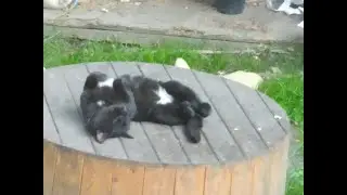 Вы так умеете???