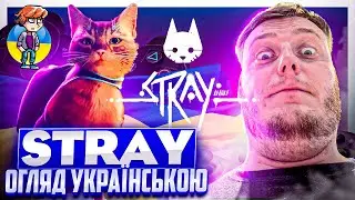 Огляд Українською - Stray