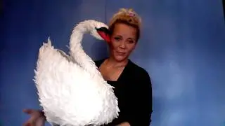 Лебедь из изолона