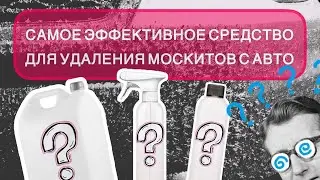 Чем убрать москитов с кузова автомобиля?