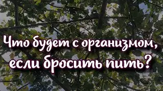 Человека не узнать: что произойдет с организмом, если бросить пить