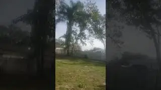 ropping a tree... So it falls away from the fence... #treecutter #treecuttingskills #cuttingtrees