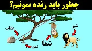 ۱۰ معمای جالب و منطقی