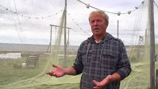 О работе рыбака / Из не вошедшего в фильм 
