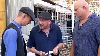 После выборов 2 (Шаланда полная свинины)