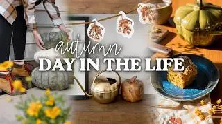 AN AUTUMN DAY 🍂 | Farmer’s Market, Baking Pumpkin Spice Coffee Cake & Cozy Home Projects