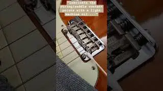 Fender Strat Guitar Maintenance #guitar #guitarist #diy