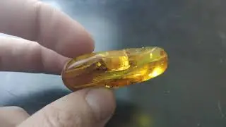 Янтарь инклюз / Amber inclusion / kehribar dahil / إدراج العنبر / Bernsteineinschluss / 琥珀內含物