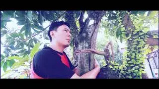 Jan dara reloaded