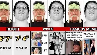HULK HOGAN VS ANDRE THE GIANT