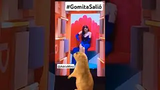 Gomita salió de LCDLFMX Karime será la finalista❓