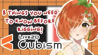 【Intermediate vtuber rigging for impatient people】8 things you NEED to KNOW 【０】