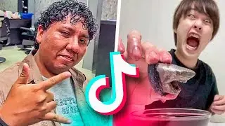 A VER QUE HAY EN TIK TOK...