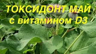 Токсидонт Май с D3. Биолит. Почему с корнем лопуха?