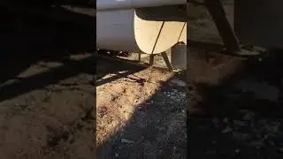 катер в Саратове 2