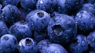 100% Full Blueberry Transformation/ The Ultimate Blueberry Inflation Subliminal! 🫐 Inflated version