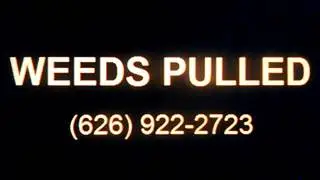 WEEDS PULLED, Barstow, CA, Weed Control, Weeds Removed, Weed Removal, Weed Abatement, Brush Removal