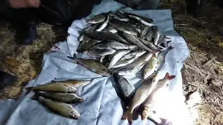 Fishing! (In Search of Grayling) October 27, 2021