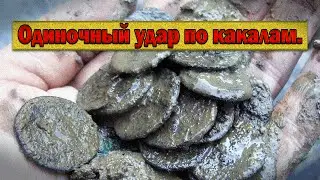 Лесной коп. Одиночный удар по какалам.