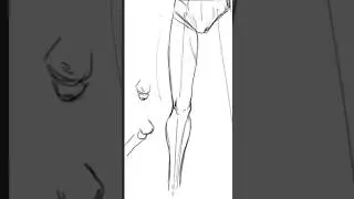 Entenda a curvatura na anatomia das pernas #desenho #desenhar #quadrinhos