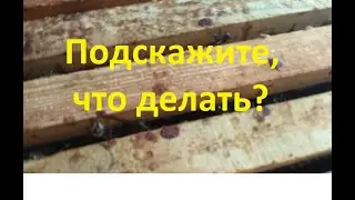 Подскажите что делать?