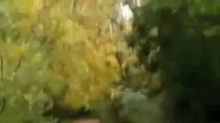 Mezmur Tigrigna (Peter)