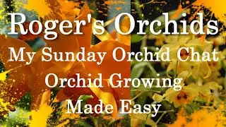 My Sunday Orchid Chat - Orchid Growing Made Easy